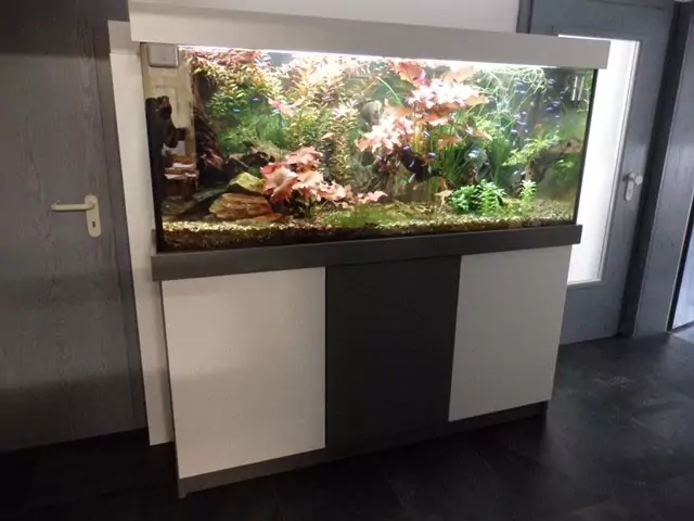Verkleidung aus Holz mit einem Aquarium zwischen 2 Türen im Wohnzimmer